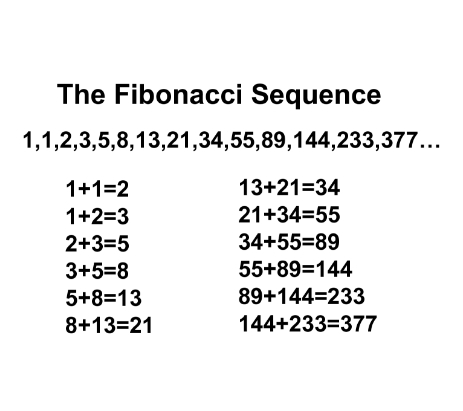 Activity: Fibonacci sequence - MATH(6S)